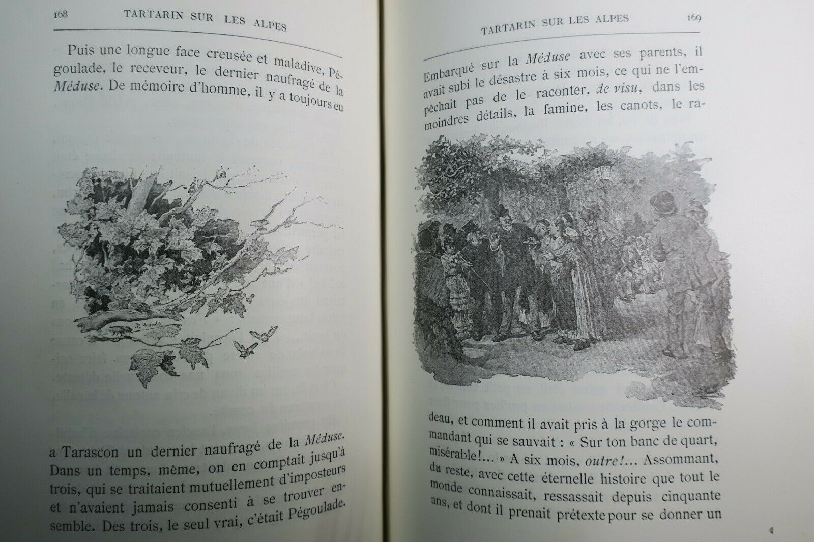 Tartarin sur les Alpes. Nouveaux exploits du héros tarasconnais Les